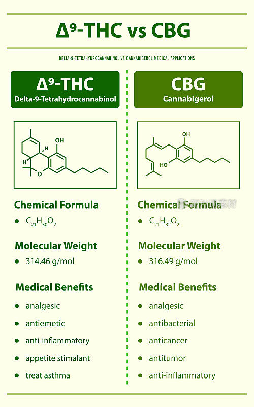 9- thc vs CBG, Delta 9四氢大麻酚vs大麻igerol垂直信息图完整